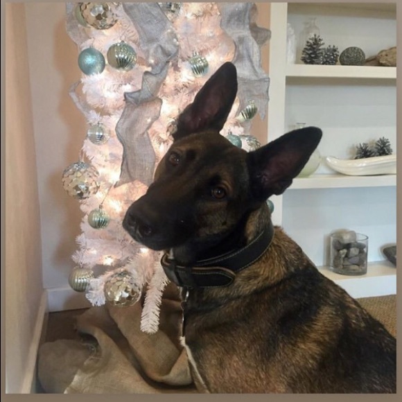 Meet your Posher, Jen - Picture 1 of 1